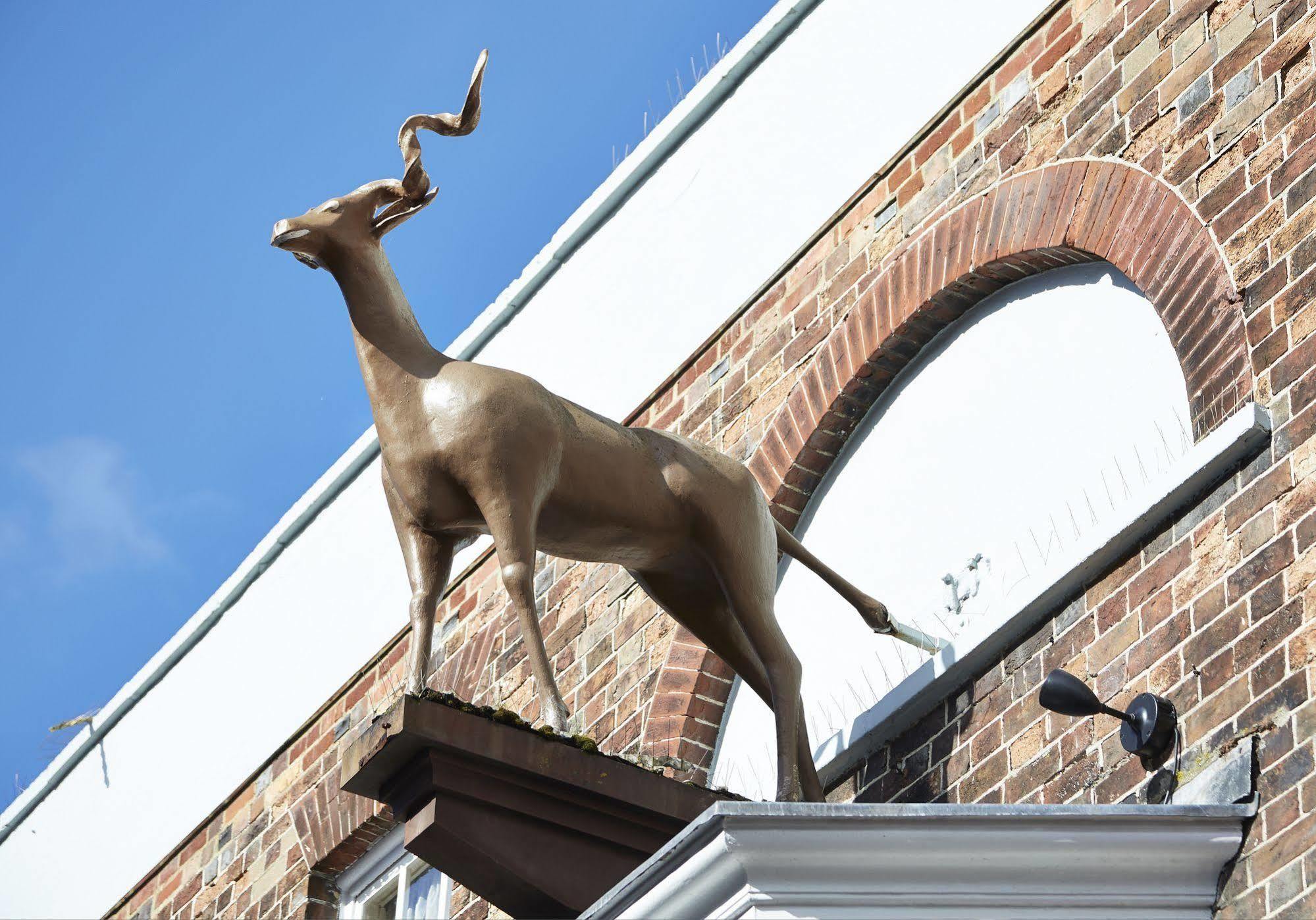 Antelope By Greene King Inns بول المظهر الخارجي الصورة
